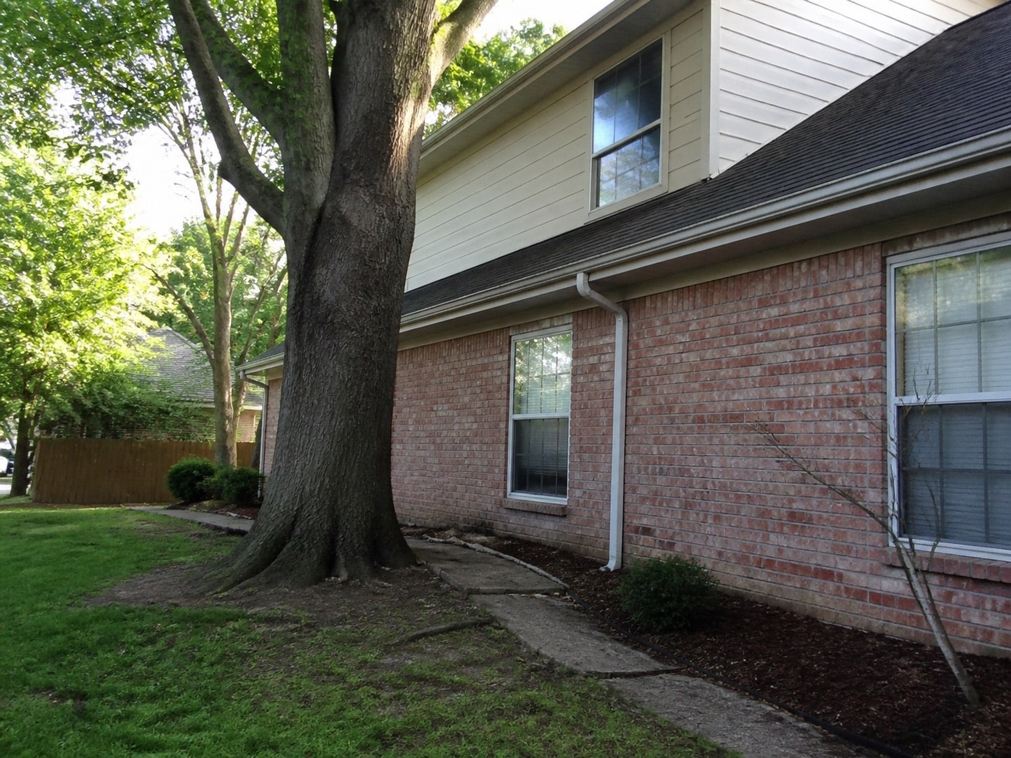 Mature tree planted too close to a two-story house and foundation