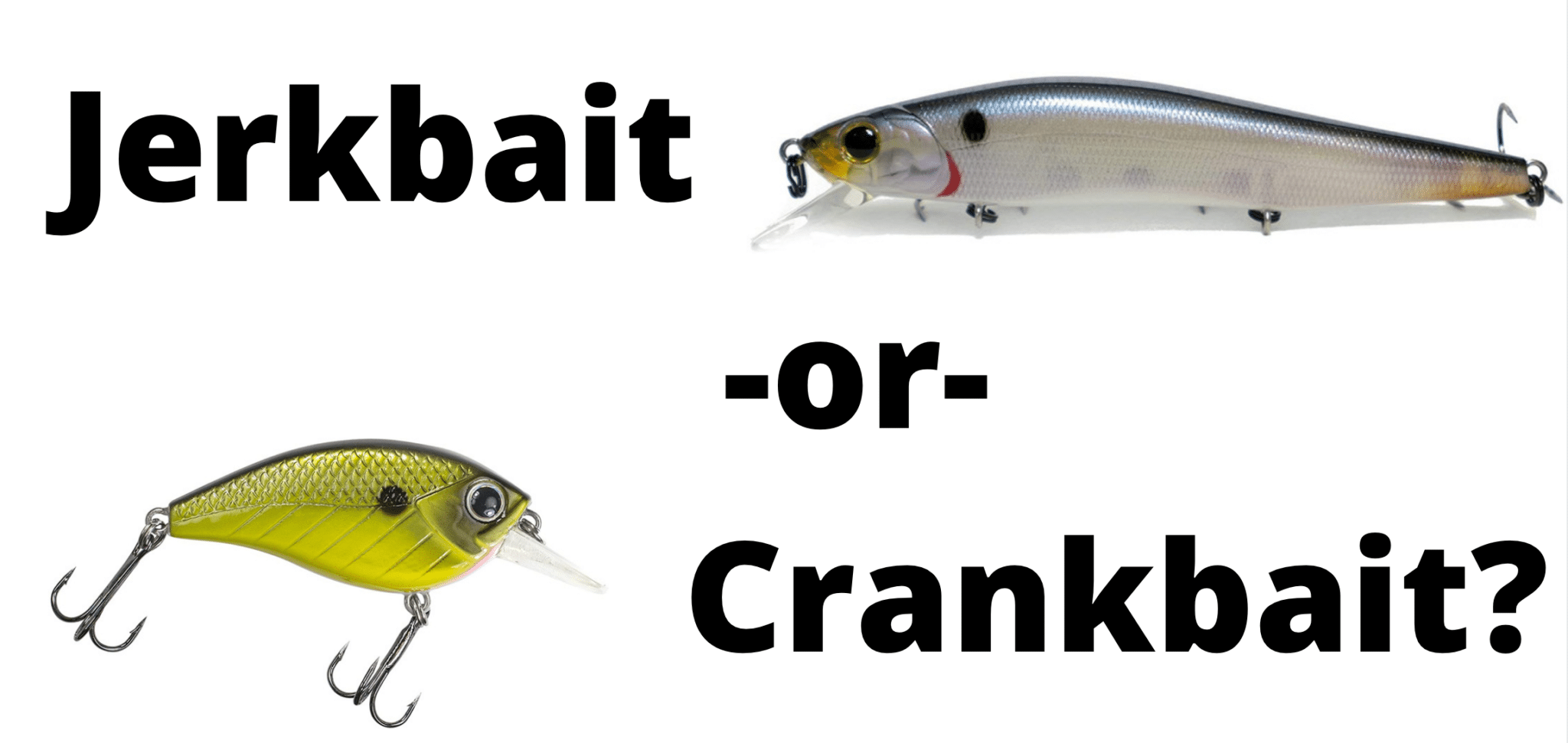 Jerkbait vs. Crankbait What are the Differences? GFL Outdoors
