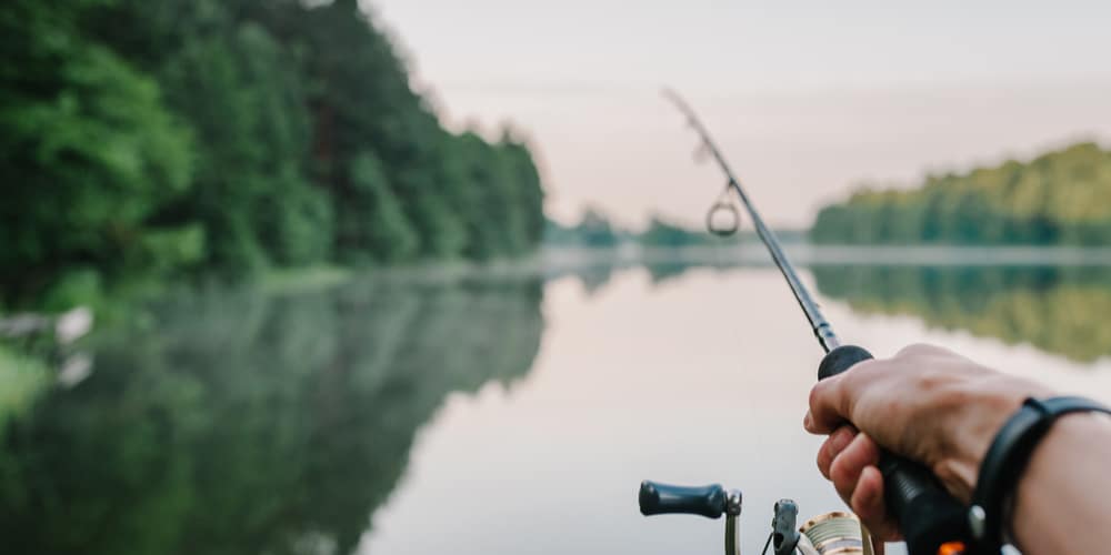 Jerbait and Crankbait Comparison