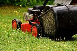 How to cut extremely long grass
