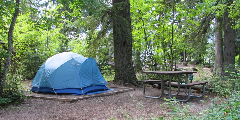 Best Tent for Camping in the Rain