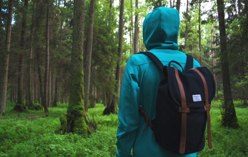 Best Backpacking Pack Under 100