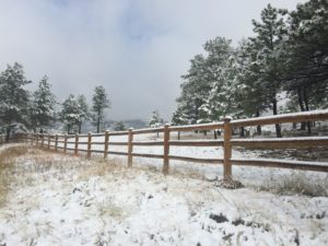 Can You Put up a Fence in Winter?