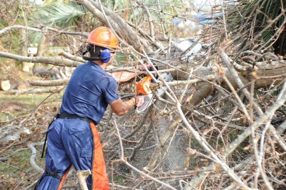 How To Set Chainsaw Blade Direction