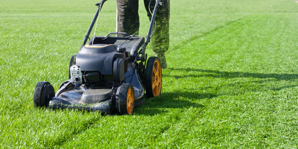 Mowing in wet grass