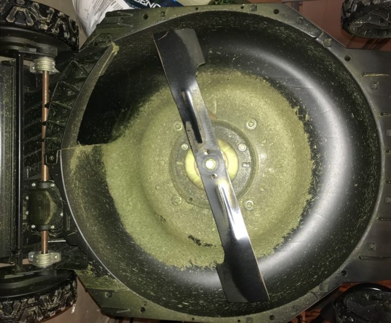 Flail Mower vs. Brush Hog A Comparison GFL Outdoors