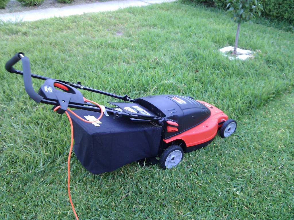 Bagger vs lawn sweeper