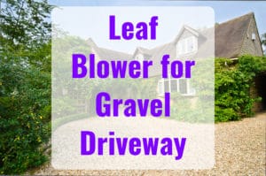 Top Leaf Blower for Gravel Driveways