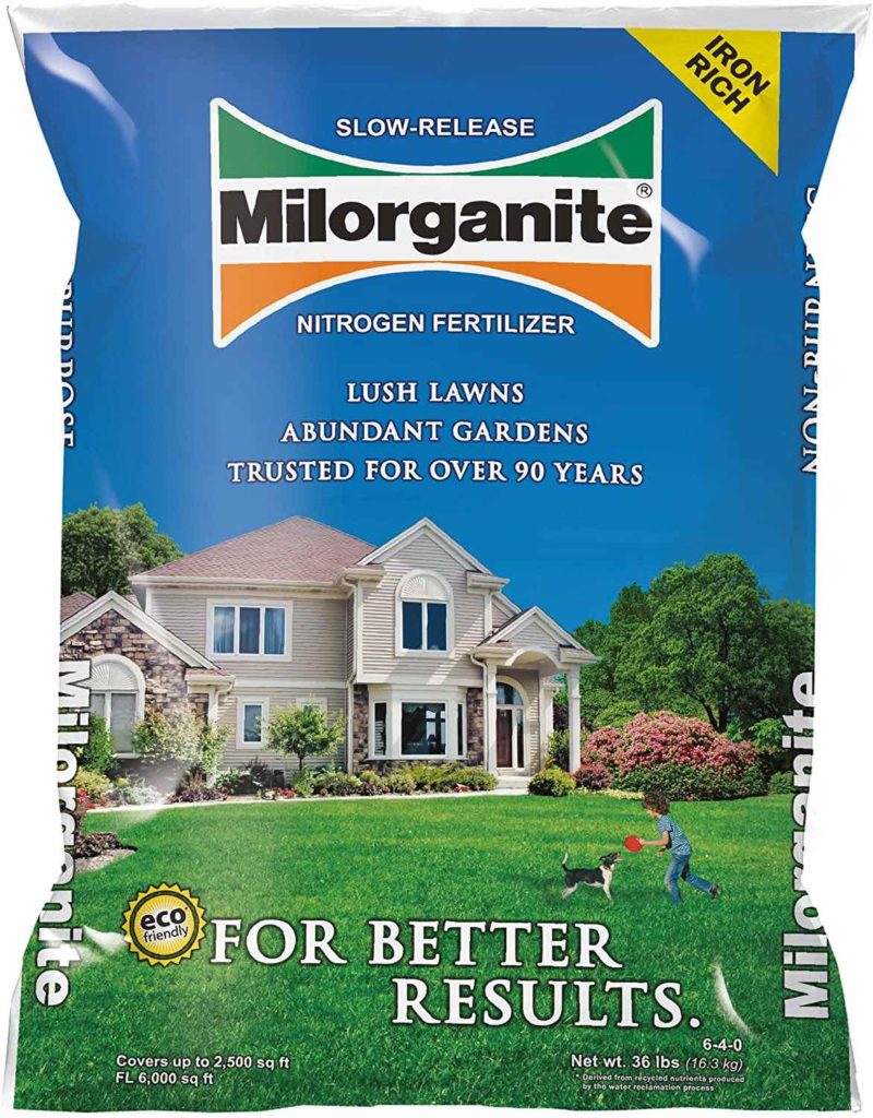 Milorganite on St Augustine