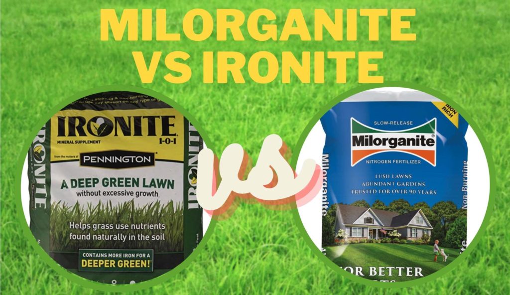 Ironite vs Milorganite