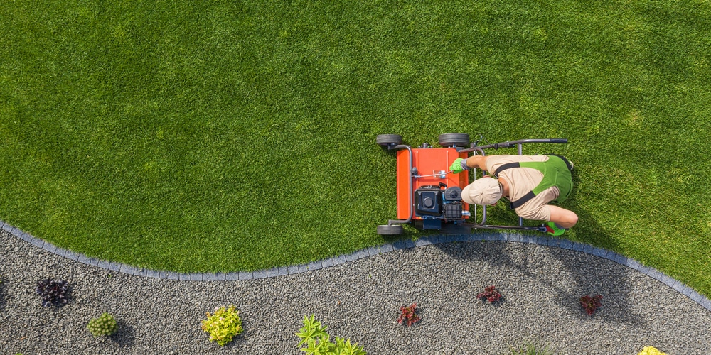 When to Aerate Lawn Colorado