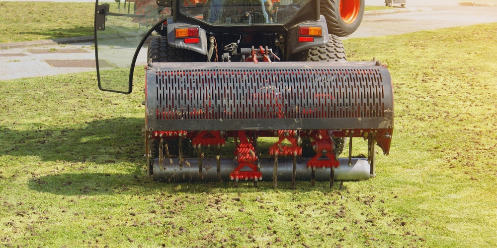 aerating centipede grass