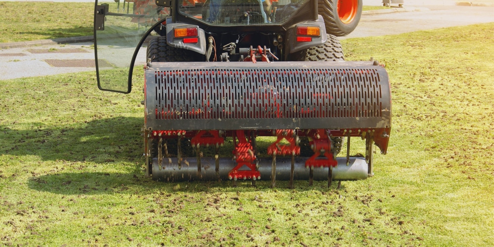 aerating centipede grass