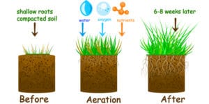 Liquid Aeration Pros and Cons