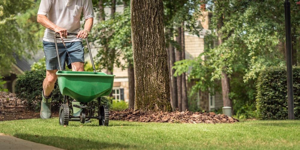 When to Fertilize Grass NC