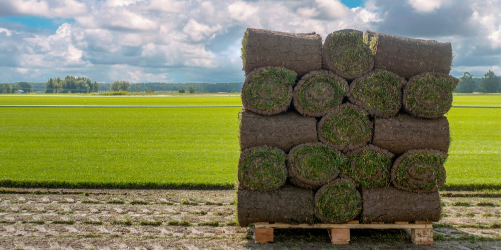 How much does a pallet of sod weigh