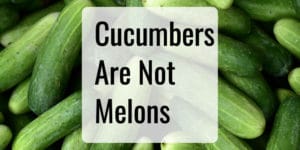 Are Cucumbers Melons
