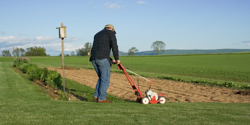 Bed Redefiner vs Lawn Edger