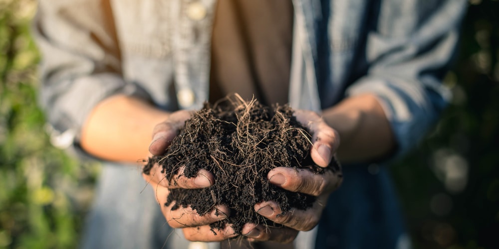 Benefits of composting paper towels