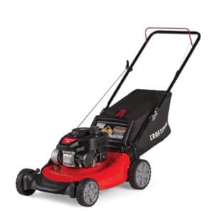 Push Mower for Bermuda