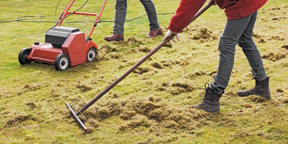 Dethatching and Aerating Compared