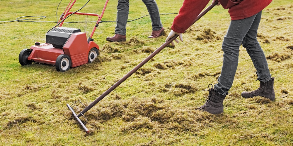 How to burn grass clippings