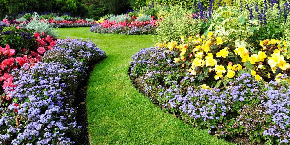 Low Maintenance Drought Tolerant Front Yard