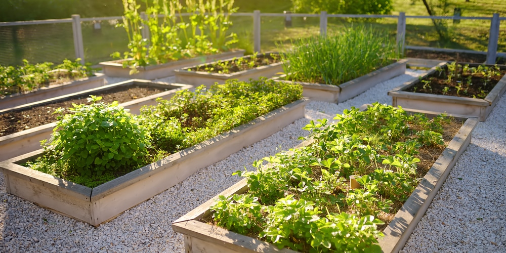 Keep grass out of garden bed