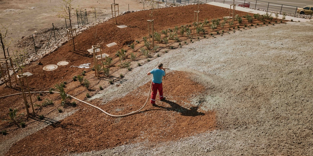 how long can hydroseed go without water