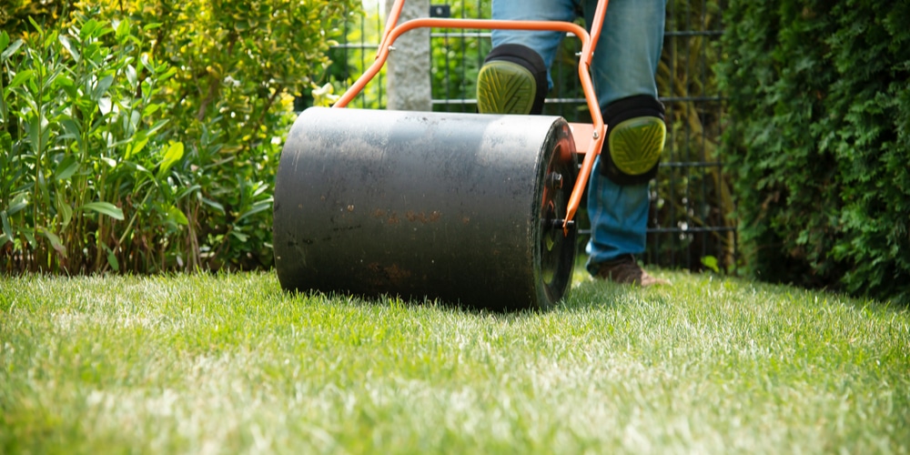 DIY Lawn Roller