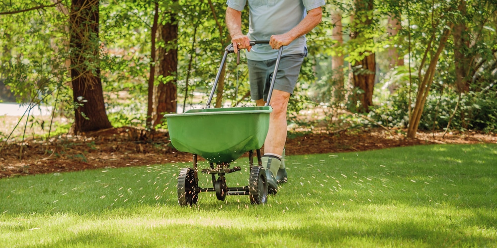 Step 3: Add Fertilizer to the Lawn