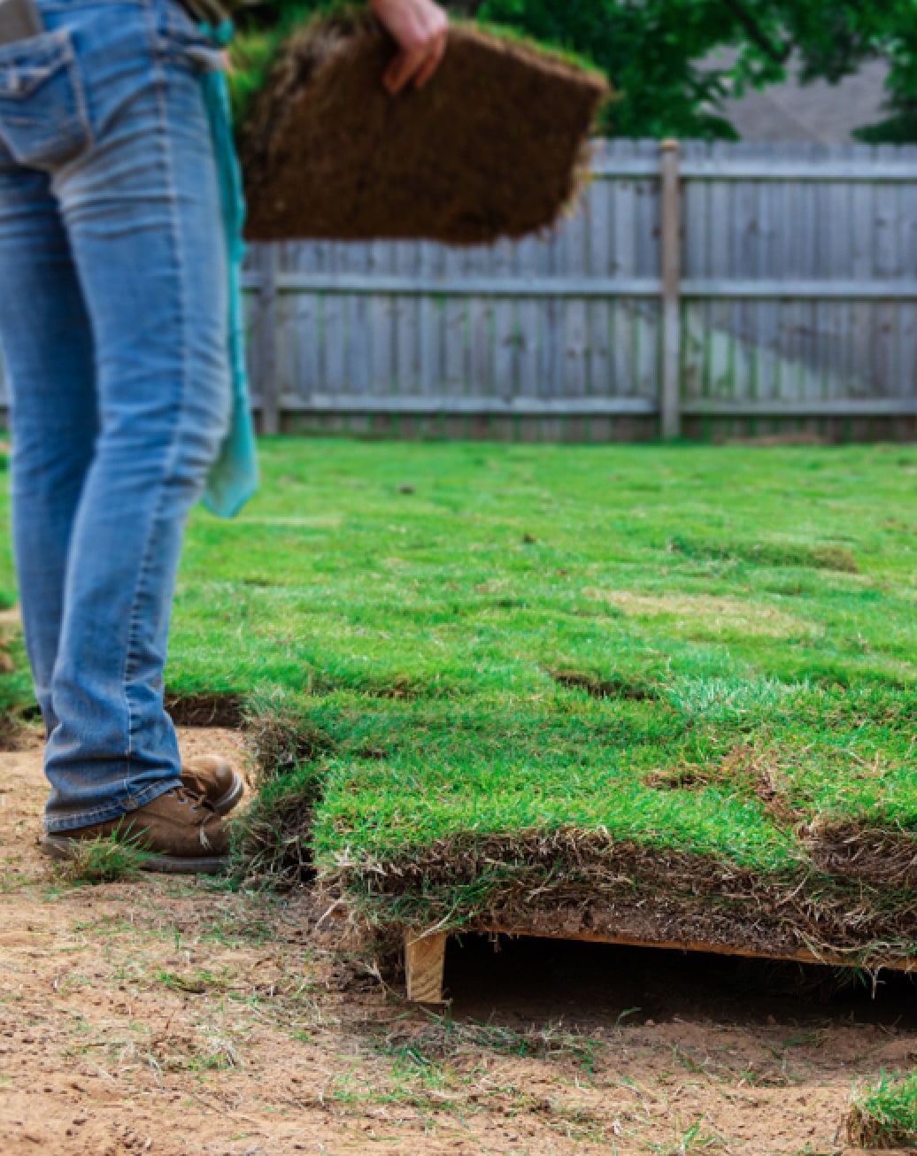 Laying New Sod