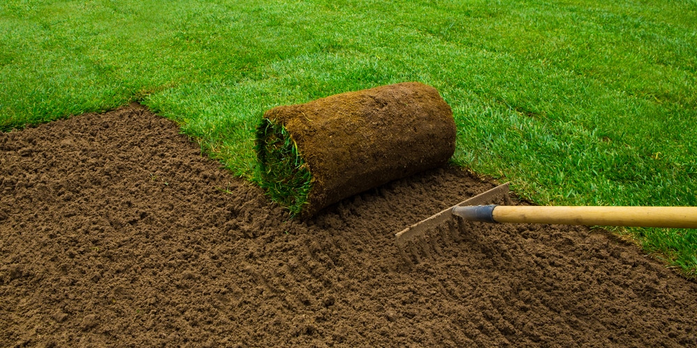 planting sod in fall