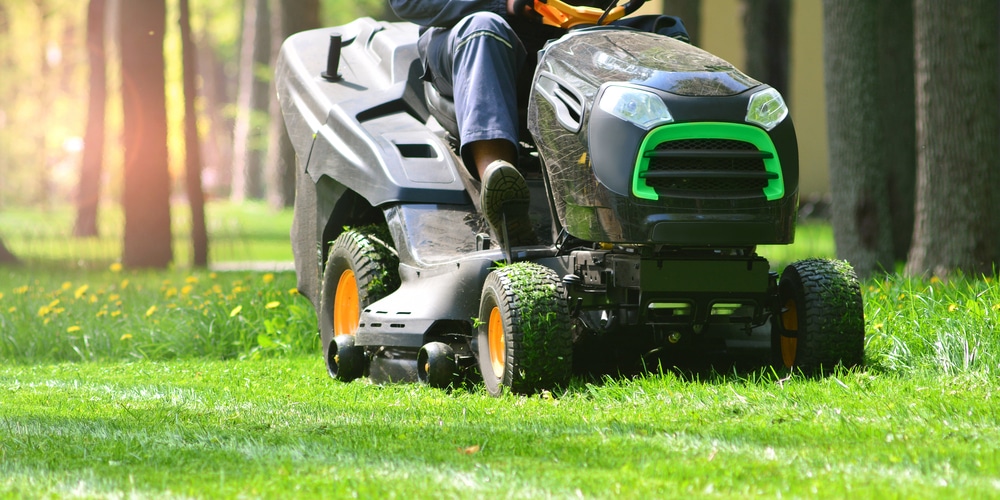 when to fertilize bermuda grass in nc