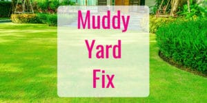 How to Fix a Muddy Yard