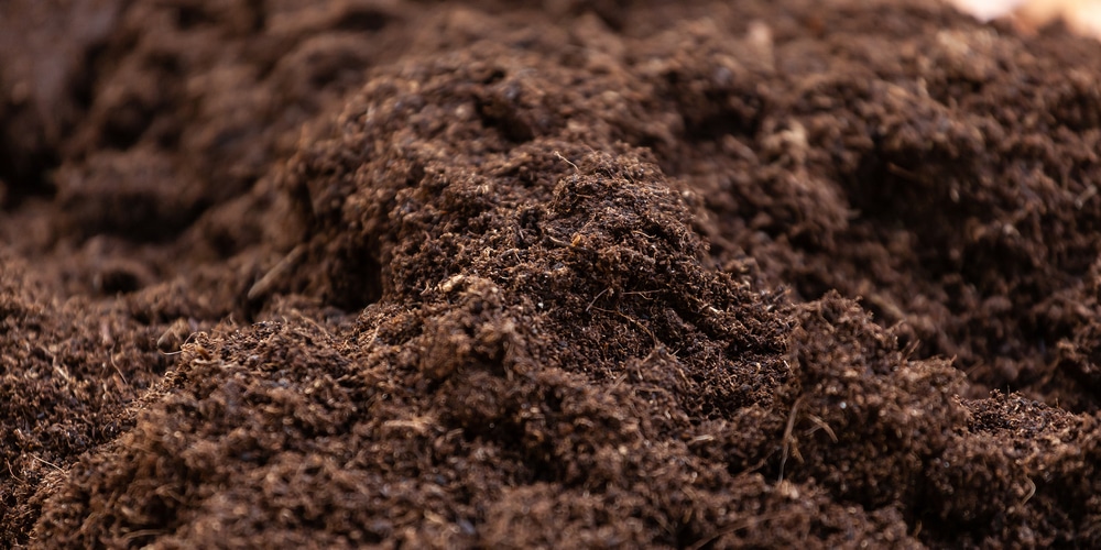 How Much Topsoil Is Needed For Grass Seed?
