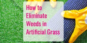 Get Rid of Weeds in Artificial Grass