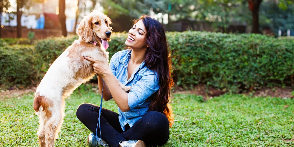 Keep Your Dog Off of New Sod