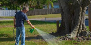 Weed and Feed Spray vs Granules