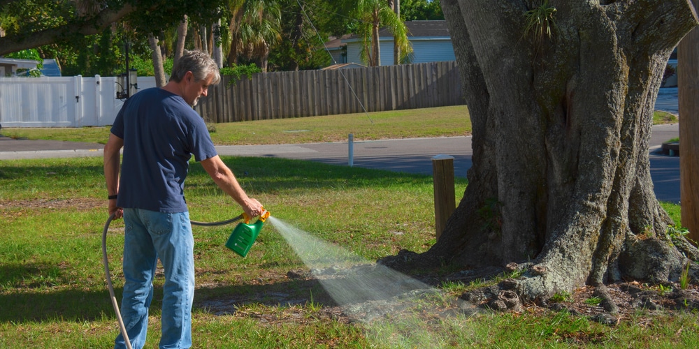 Does Weed and Feed Go Bad: Fertilizer Lifespan