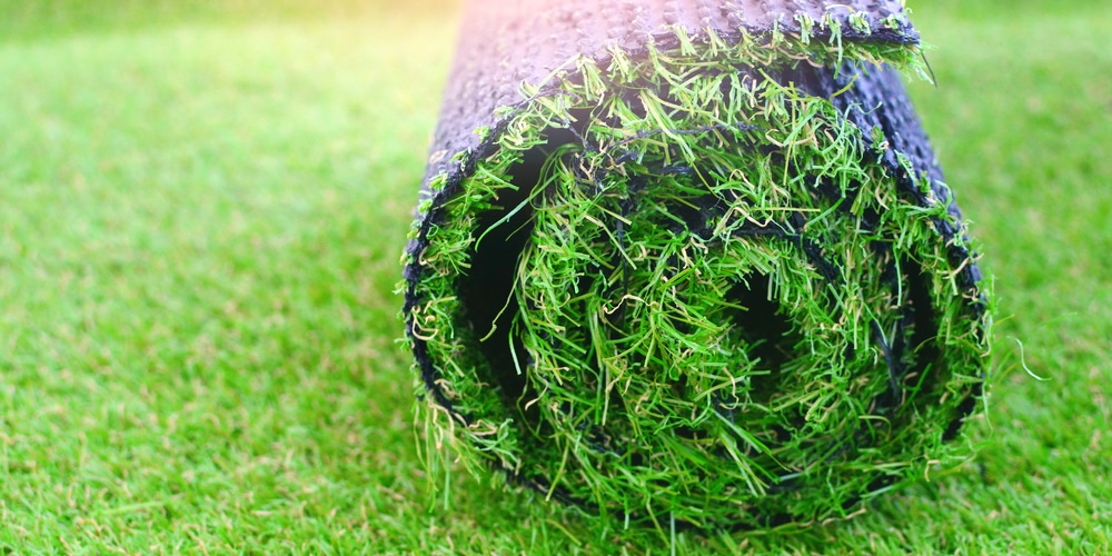 artificial grass around pool