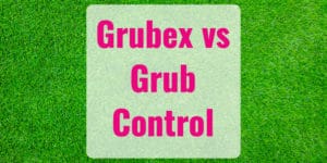 Scotts Grubex vs. Bayer Grub Control