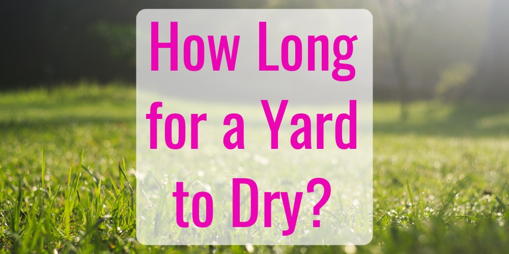 How Long Does it Take Grass to Dry after Rain? GFL Outdoors