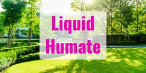 Pros and Cons of Liquid Humate
