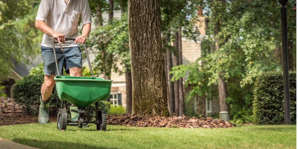 46-0-0 Fertilizer for Grass