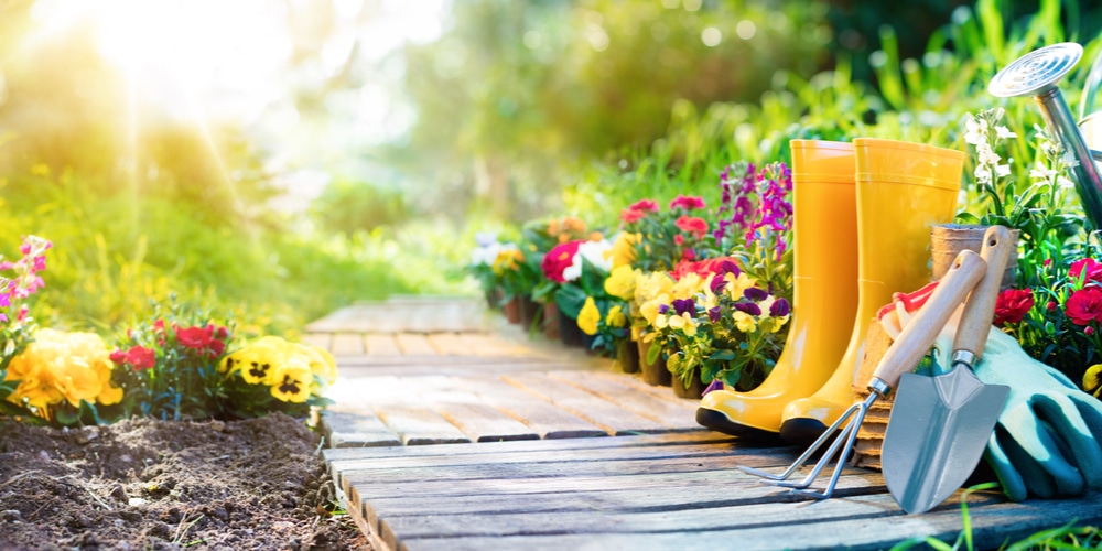 Perlite in Garden