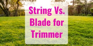 Blade Vs String Trimmer