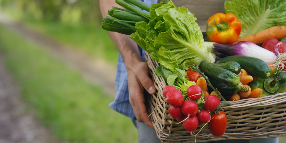 What Vegetables Can Grow in 6 Inches of Soil?