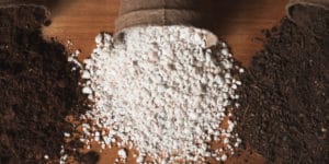 substitute vermiculite