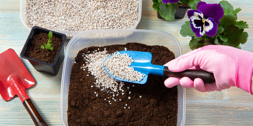 How much perlite to add to potting soil?